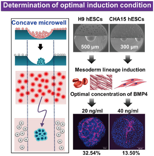 Figure 22