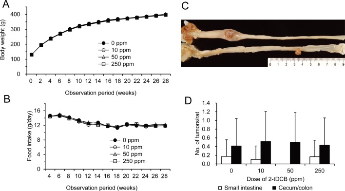 Fig.
4.