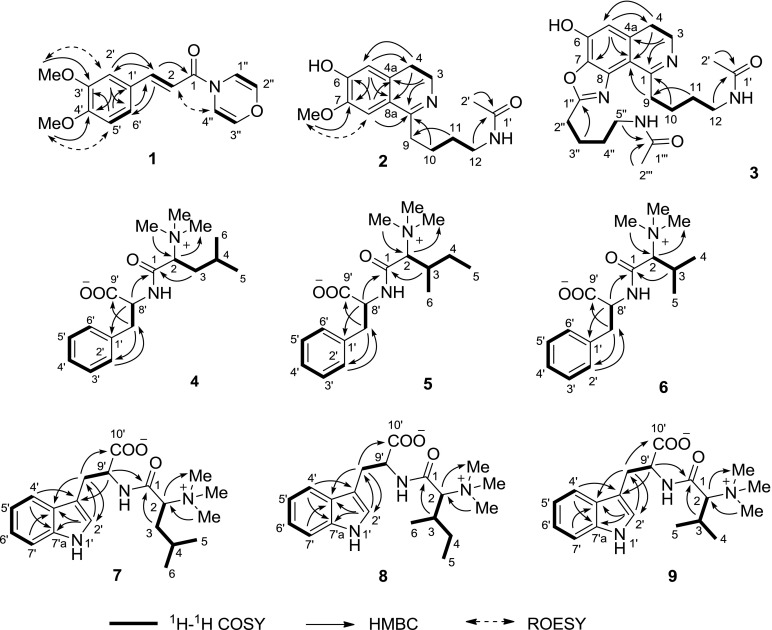 Fig. 2