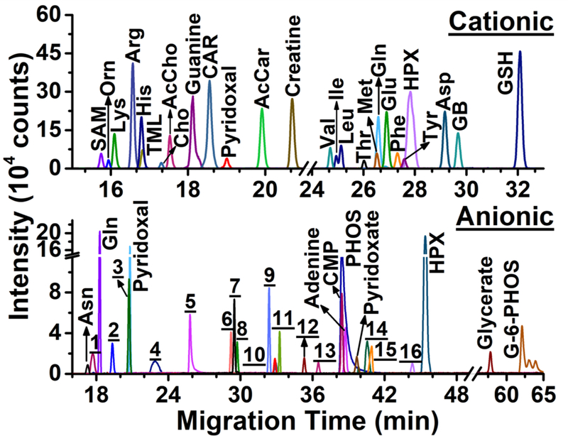 Figure 3.