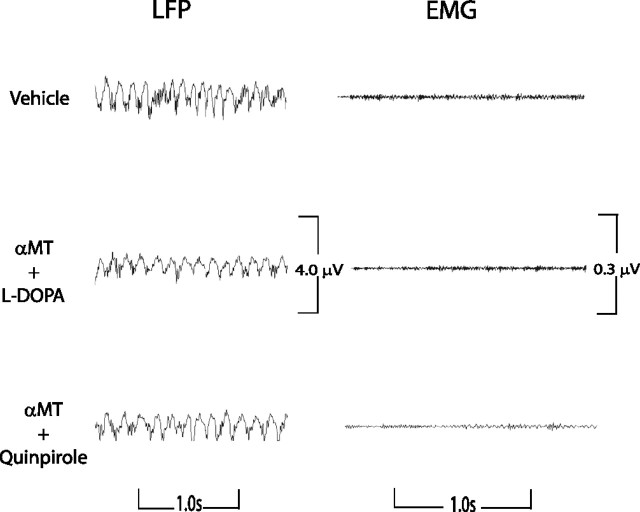 Figure 13.