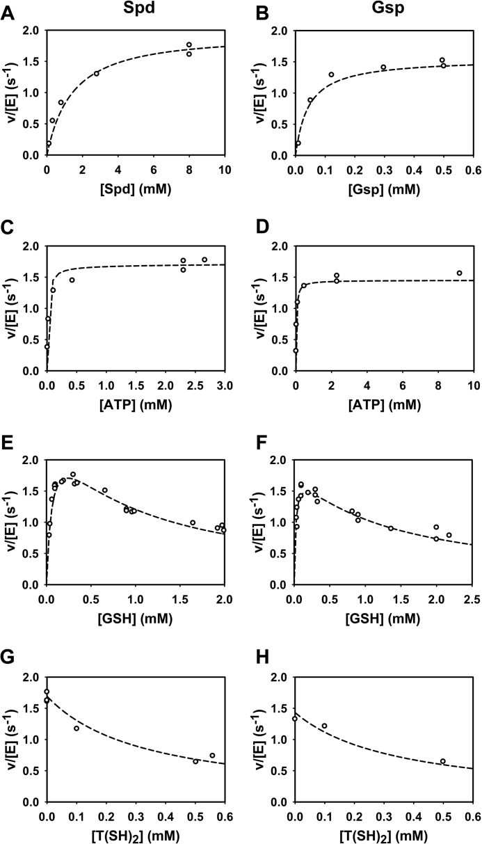 FIGURE 7.