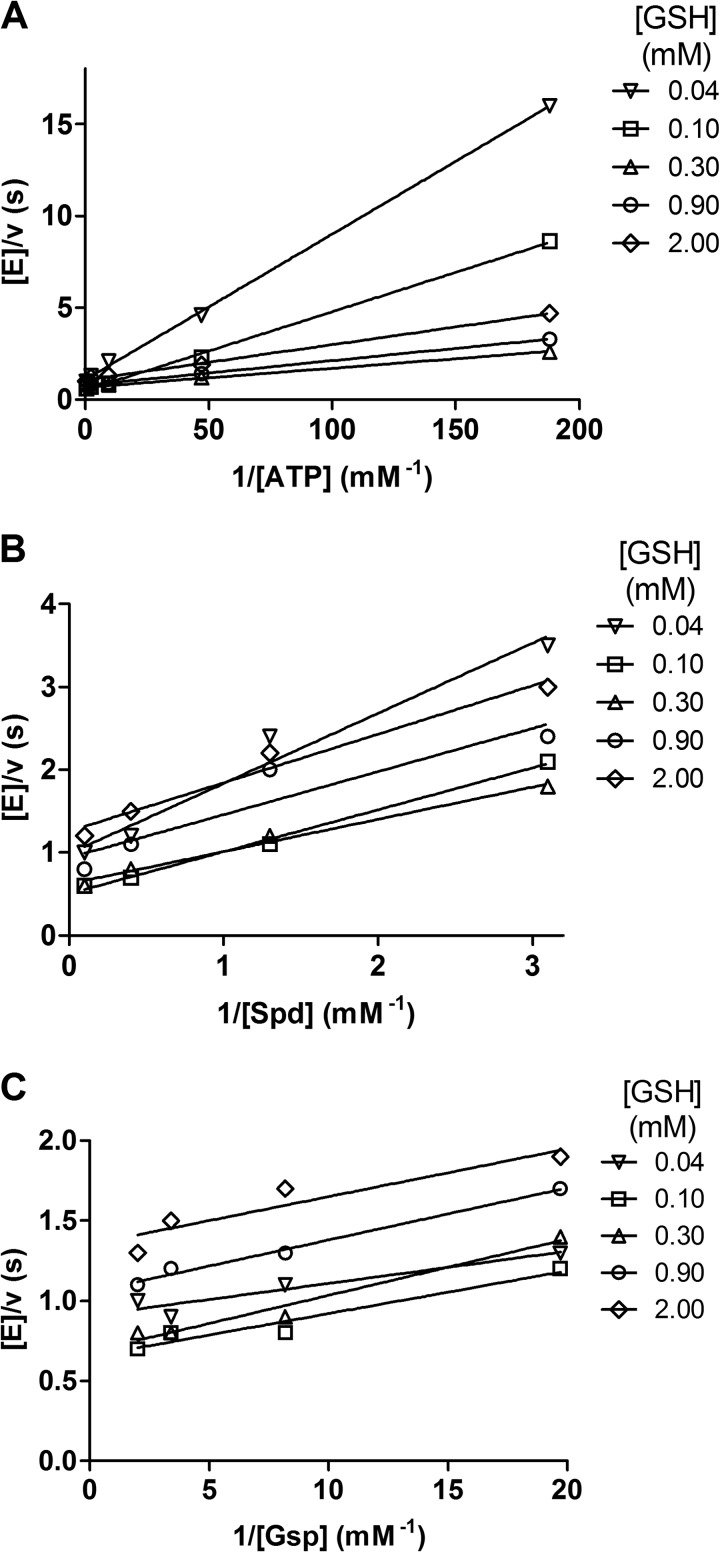 FIGURE 1.