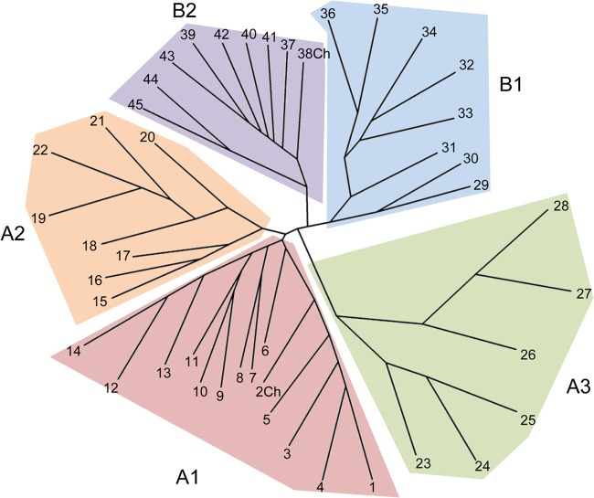 FIG 1