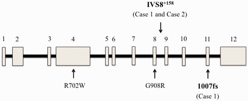 Figure 1.