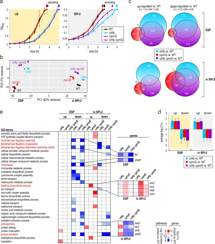 FIG 3