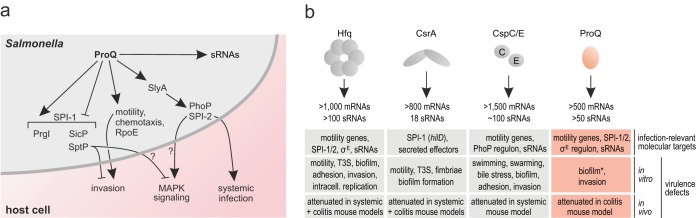 FIG 6