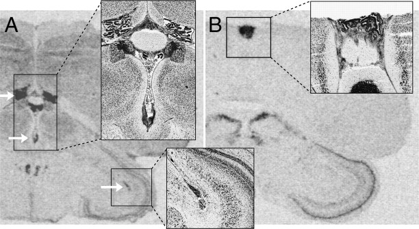 Fig. 9.