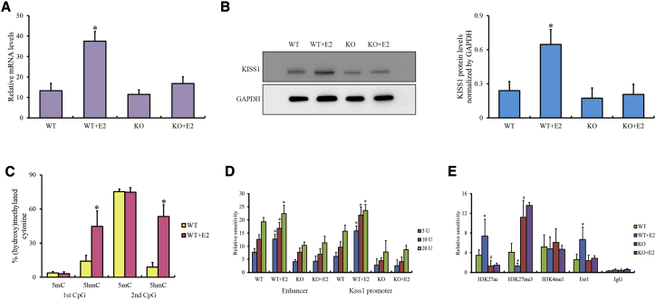 Figure 6