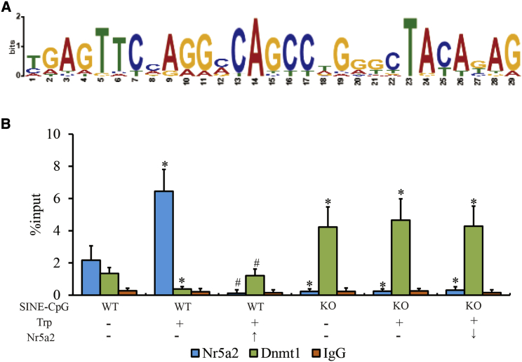 Figure 4