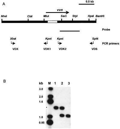 FIG. 5