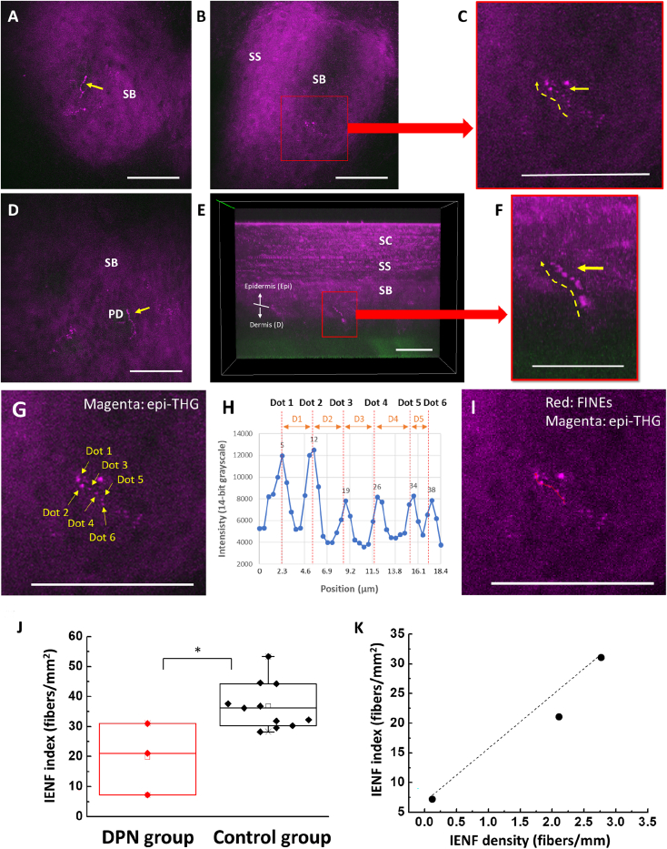 Figure 6