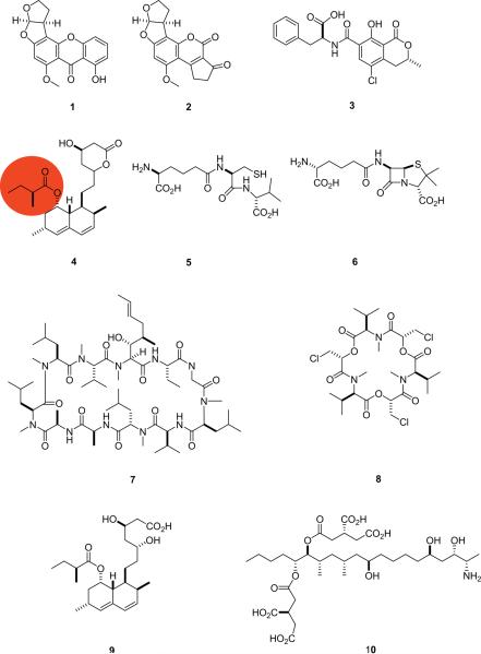 Fig. 7