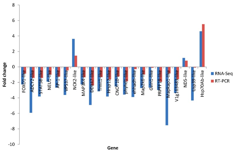 Figure 15