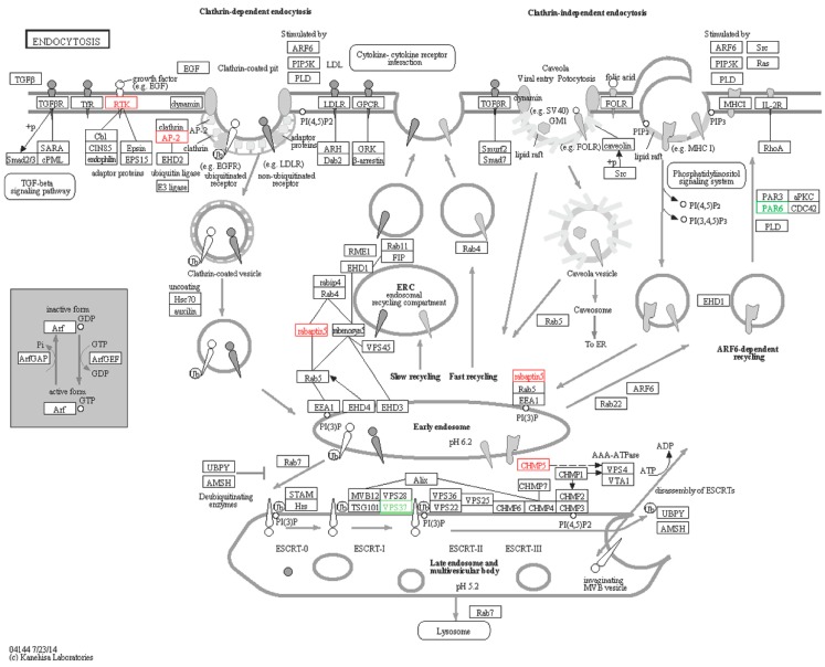 Figure 13