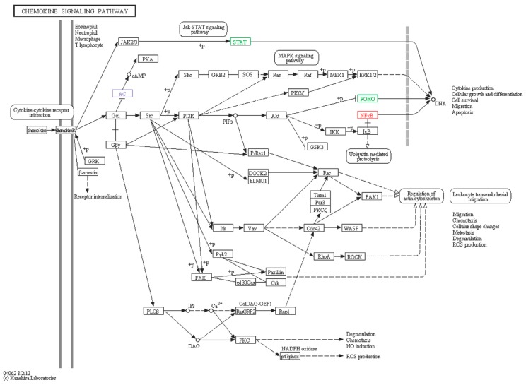 Figure 14