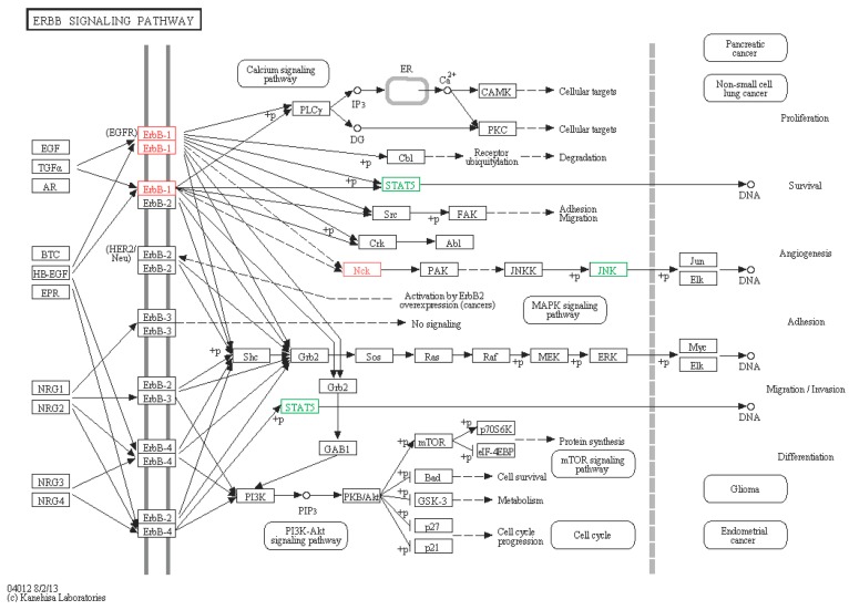 Figure 11