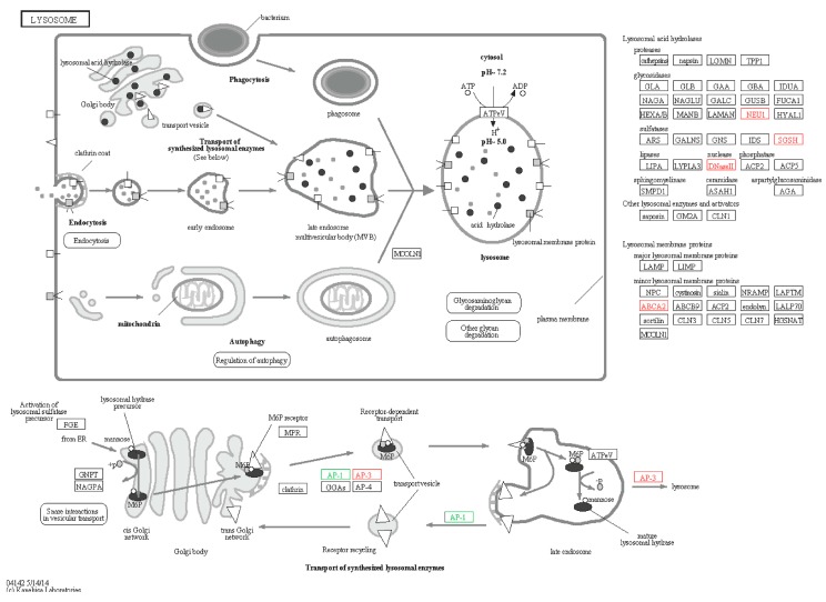 Figure 12