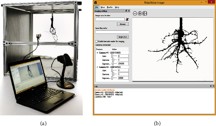 Figure 2