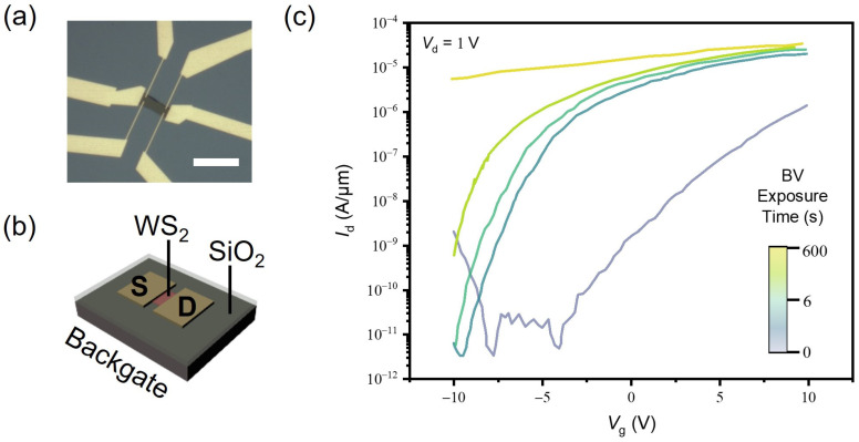 Figure 2