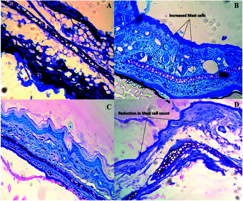 Fig. 15