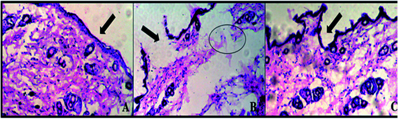 Fig. 10