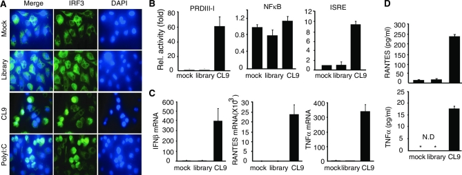 Figure 3.