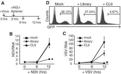 Figure 6.