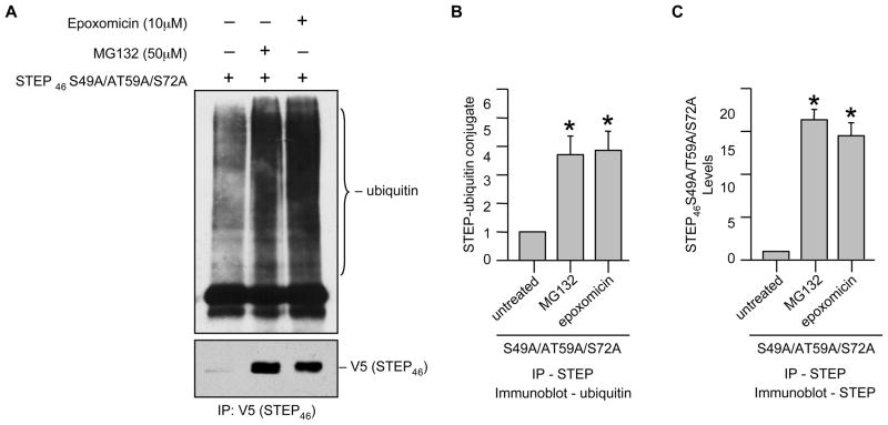 Fig. 8