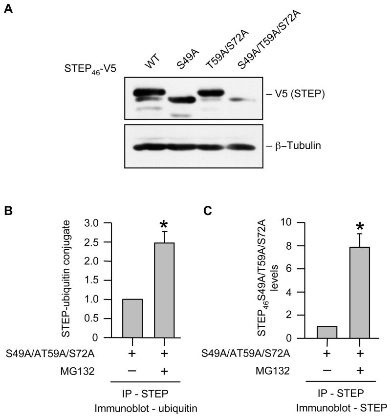 Fig. 9