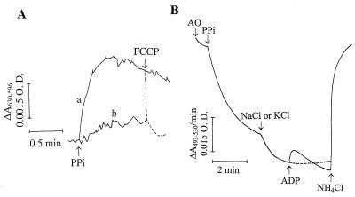 FIG. 10