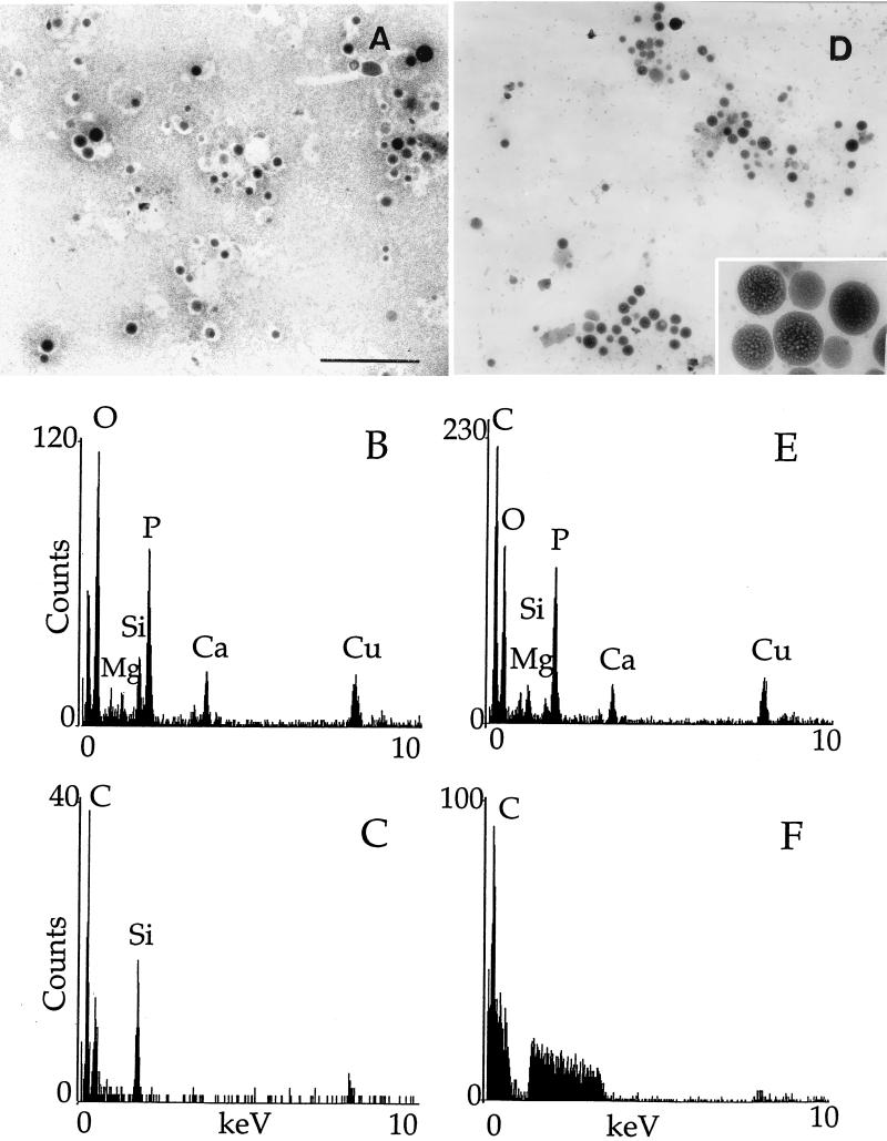 FIG. 8