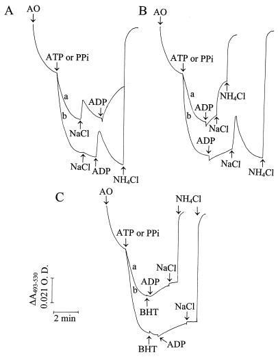 FIG. 5