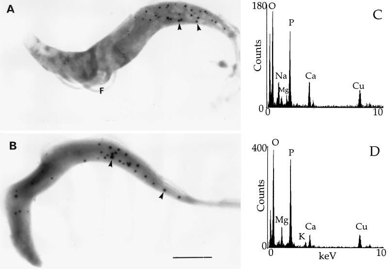 FIG. 9