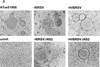 FIG. 6