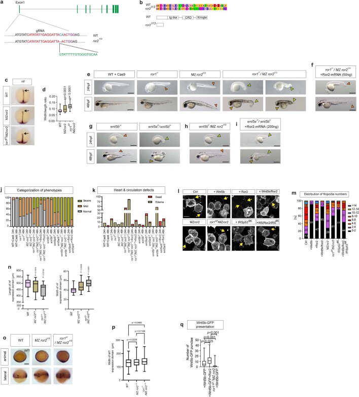 Extended Data Fig. 4