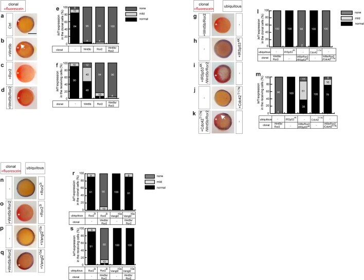 Extended Data Fig. 7