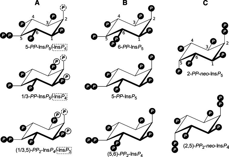 Fig. 1