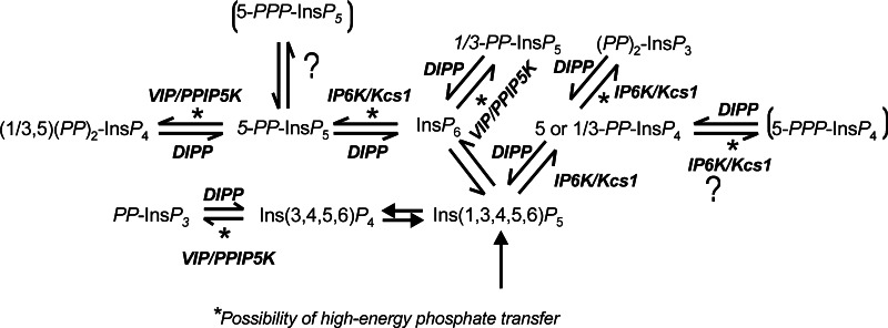 Fig. 2