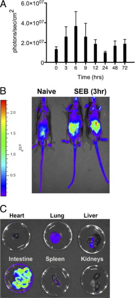 Figure 13