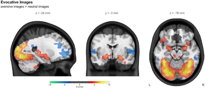 Figure 5.