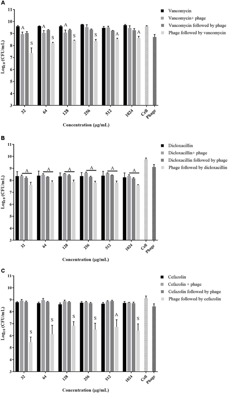 FIGURE 2