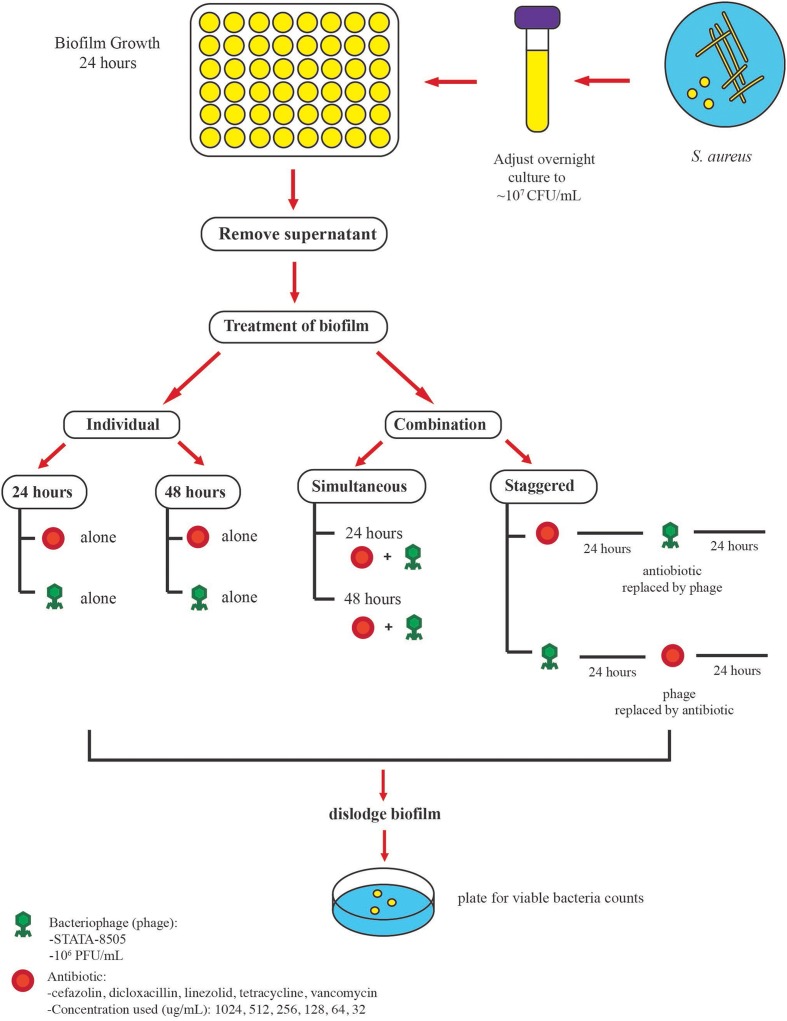 FIGURE 1