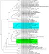 FIGURE 2