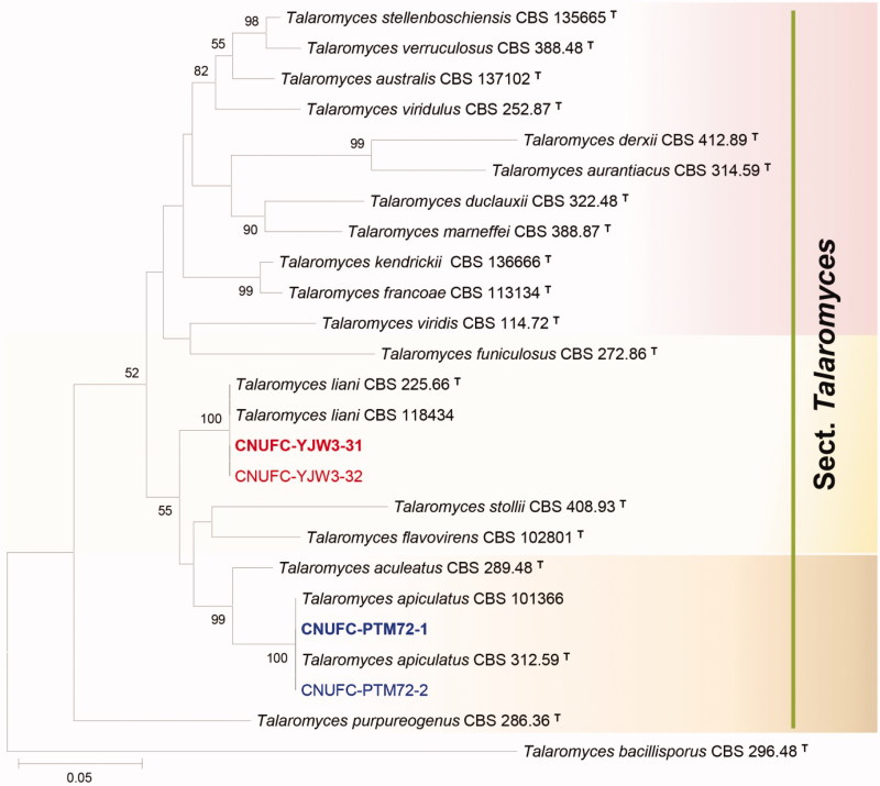 Figure 2.