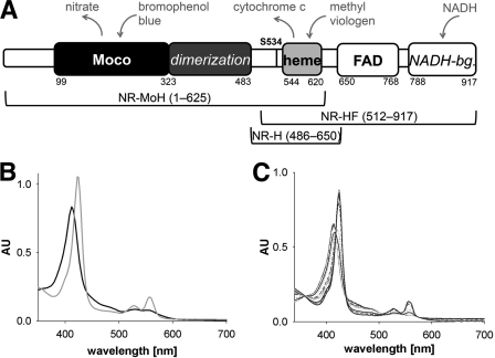 FIGURE 1.