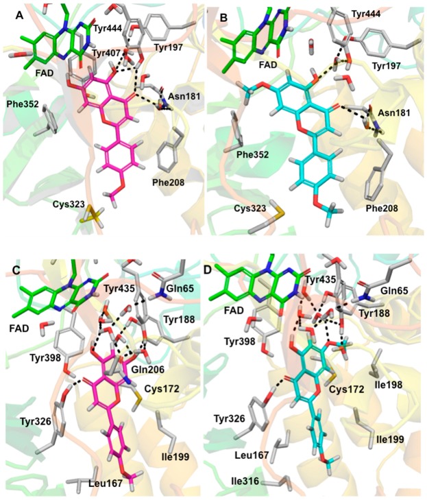 Figure 6