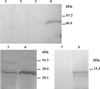 Fig. 3