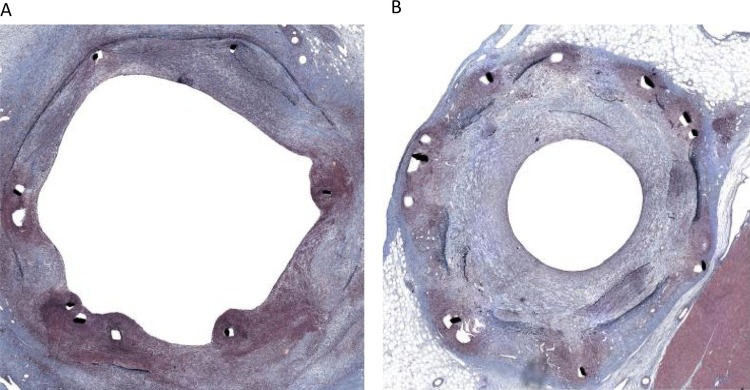 Figure 7