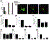 Fig. 11.5